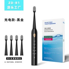 HYLSS 聲波電動牙刷 口腔清潔 無線充電, 1個, 如圖所示5401, B1 黑金4刷头 带黄