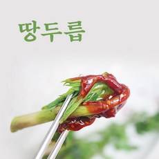 품질좋은 당일채취 고급 노지 땅두릅 500g 한산섬 산지직송, 1개