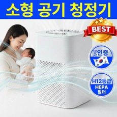라핀다 맑은공기 미니 공기청정기 원룸 비염 아기방 사무실 무소음, 화이트, AP-2103