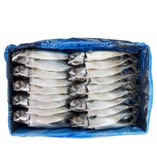해물총각 간고등어 1박스 국내산 자반고등어, 4.2kg(20마리), 1개