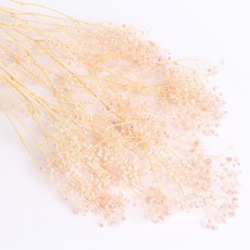 화연양화 프리저브드플라워 표백 안개꽃 몽글몽글 스몰안개 10색, 02 블러쉬