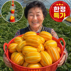 [선착순초특가] 100박스한정 성주 꿀 참외, 1박스, 3kg