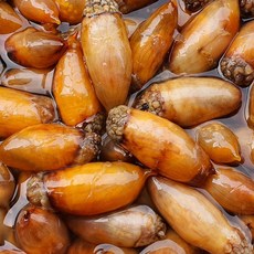 26년 생물미더덕 횟감미더덕 손질미더덕 500g 횟감미더덕200g, 1개