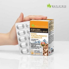 [장용성] 메이플트리 100억 프로바이오틱스, 1개