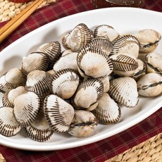 [프레쉬서비스] 벌교 꼬막3kg(중), 없음