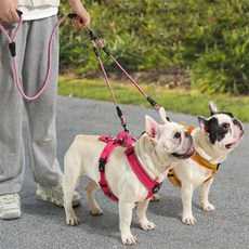 모아프라임 강아지 두마리 더블 리드줄 산책용품