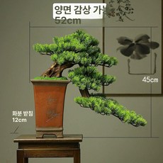 조경 인테리어 조화 사무실 로비 소나무 왼쪽을 로비, 고대 아름다운 소나무