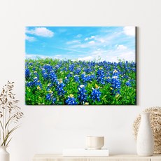 더 아트 컴퍼니 감성 꽃그림 사진 액자 33종 1-33, 31. 블루보넷 들판