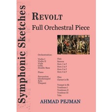 (영문도서) Revolt: Full Orchestral Piece Paperback, Kidsocado, English, 9781778920172