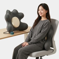 Allilio 바른자세 허리쿠션 게이밍 등받이 프리미엄 메모리폼 차량용 의자용 사무실, 그레이
