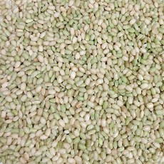 국산 녹미 2kg (2025년산) 녹진주 찹쌀 녹색쌀 초록쌀 유색미 푸른찹쌀, 1개