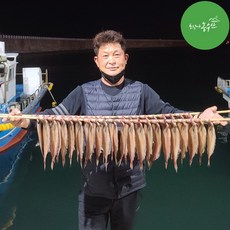 기름가자미 물가자미, 5개, 기름가자미 중 (25cm내외)