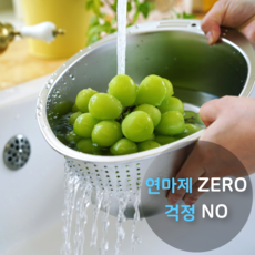 바른살림 일립스 쌀볼 연마제 걱정 없이 쌀 씻는 세척볼 스탠 304, 실버, 1개