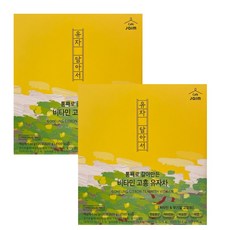 통채로 갈아만든 자임 비타민 고흥 유자차, 2개, 1개입, 600g