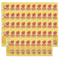 벤토 맛징어 갈릭앤스파이시, 48개