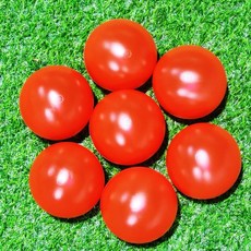 유아동 마루 아기 볼풀공 8.5cm 단색 50P KC인증 국내 자체 생산, 010. 레드