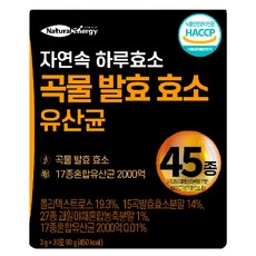 자연속 하루 효소 곡물 발효 효소 유산균 45종, 90g, 1개