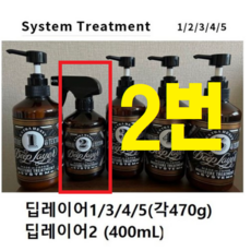 딥레이어 시스템 트리트먼트 1 2 3 4 5 본체 (옵션확인), 1개, 2R