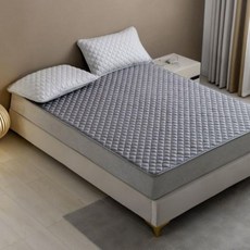 소중대 전기요 무자계 빨아쓰는 더블 전기매트 싱글 가전 (Araium), AI_02 부강안심전기요 (소)