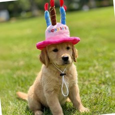강아지 생일 반려동물 모자 강아지고깔모자, 핑크
