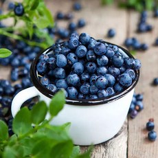 미국산 냉동 블루베리 미국산 블루베리 생과 미국블루베리 프로즌블루베리 냉동 생블루베리, 2개, 350g