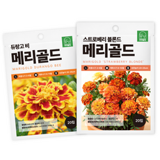 주주씨앗 F1교배종 메리골드 씨앗 2종세트 프렌치계 왜성종 이색메리골드 꽃씨앗 꽃씨몰, 1개