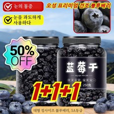 1 + 1 + 1 말린 블루베리 무설탕 블루베리 과일 동북 특산품 블루 매실 오리지널 베이킹 간식, 1개, 말린 블루베리 250g/1+1+1