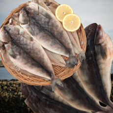 구영프레시 신선한 반건조 임연수 국내산 손질생선, 1박스, 임연수 중 10미