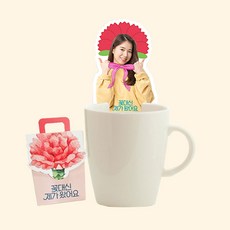 꽃길걷다 굿즈 티백 어버이날 인간 카네이션 홍삼차 5P, 1박스, 5개입, 1g