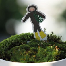 실내화분 화산사 이끼 미니화분 키우기 세트, 본상품