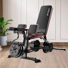 기립근 운동기구 하이퍼 기립근운동 로만 홈짐 코어 홈트 기구 백, 다기능 덤벨 벤치+30kg 덤벨, 1개, 다기능 덤벨 벤치