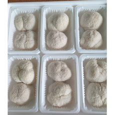 국산 친환경 생노루궁뎅이 버섯 1kg 2kg 생노루궁댕이 궁댕이버섯 노루 버섯 노루궁댕이버섯차 노루궁댕이버섯즙, 1개