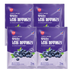 맛있는 이츠웰 칠레산 냉동 블루베리 세척없이 바로먹는 급속냉동 1kg 4개