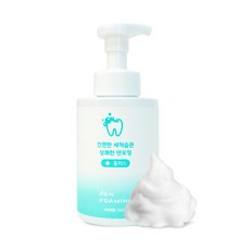 덴포밍 거품형 세정 세척 거품치약, 500ml, 1개