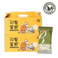 산과들에 원데이발란스그린 하루견과 만점 응원선물세트 20gx20입x2개쇼핑백