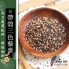 三色藜麥 鸚鵡專用飼料, 1個, 100克