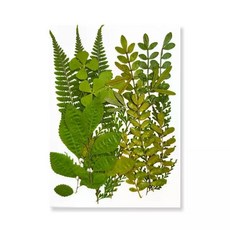 레진 아트 재료 UV 공예 에폭시 송진 필링용 말린 꽃 천연 식물 압착 DIY 펜던트 만들기 조화 생화, 5. B