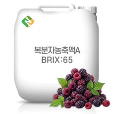 복분자농축액A 65Brix 200g 샘플, 1개