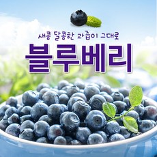 백운팜 국내산 블루베리(급냉), 1개, 블루베리(냉동) 1kg 대(14~15mm)