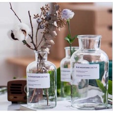 字母透明玻璃花瓶 簡約復古風 室內客廳裝飾 乾燥花/插花/水培適用 永生花擴香空瓶