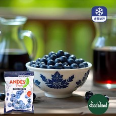 냉동 블루베리 칠레산, 1개, 1kg