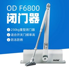 可開發票特大號閉門器250KG液壓緩衝加重型關門器防凍防水小區大門鐵藝門 自動關門器 自動門弓器 自動閉門器 大門緩衝器, 顏色1, 1個
