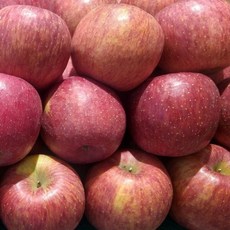 (신선집중) 빨간 사과 햇 부사 한입사과 2KG (1215과) 스마일배송, 달콤한 부사 햇 한입 사과 2KG (1218과)12br, 1개