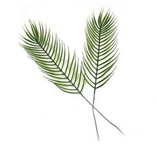 야자수 조화 집인테리어