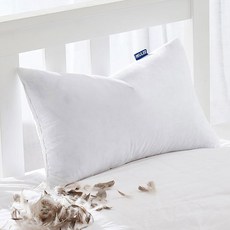 L 26x26 유로 베개 삽입물 소파 침대용 다운 깃털 던지기 2개 세트 장식용 푹 원단 흰색, 1, 12x20 Inch, 12x20 Inch