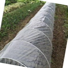 조립식비닐하우스 비닐하우스자재 미니 비닐하우스 비닐 하우스비닐 10M, 2Mx10M