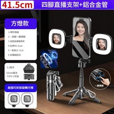 P15 磁吸自拍杆直播支架 41.5cm, 雙燈黑色, 1個, 如圖