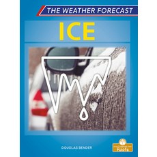 (영문도서) Ice Library Binding, Crabtree Roots, English, 9781427159335