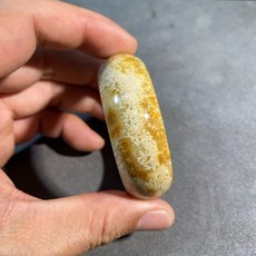 沈柯久寂 木化手鐲, 1個