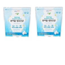 락토리움 프로바이오틱스 츄어블 생유산균(60정) 총120정197278, 60정